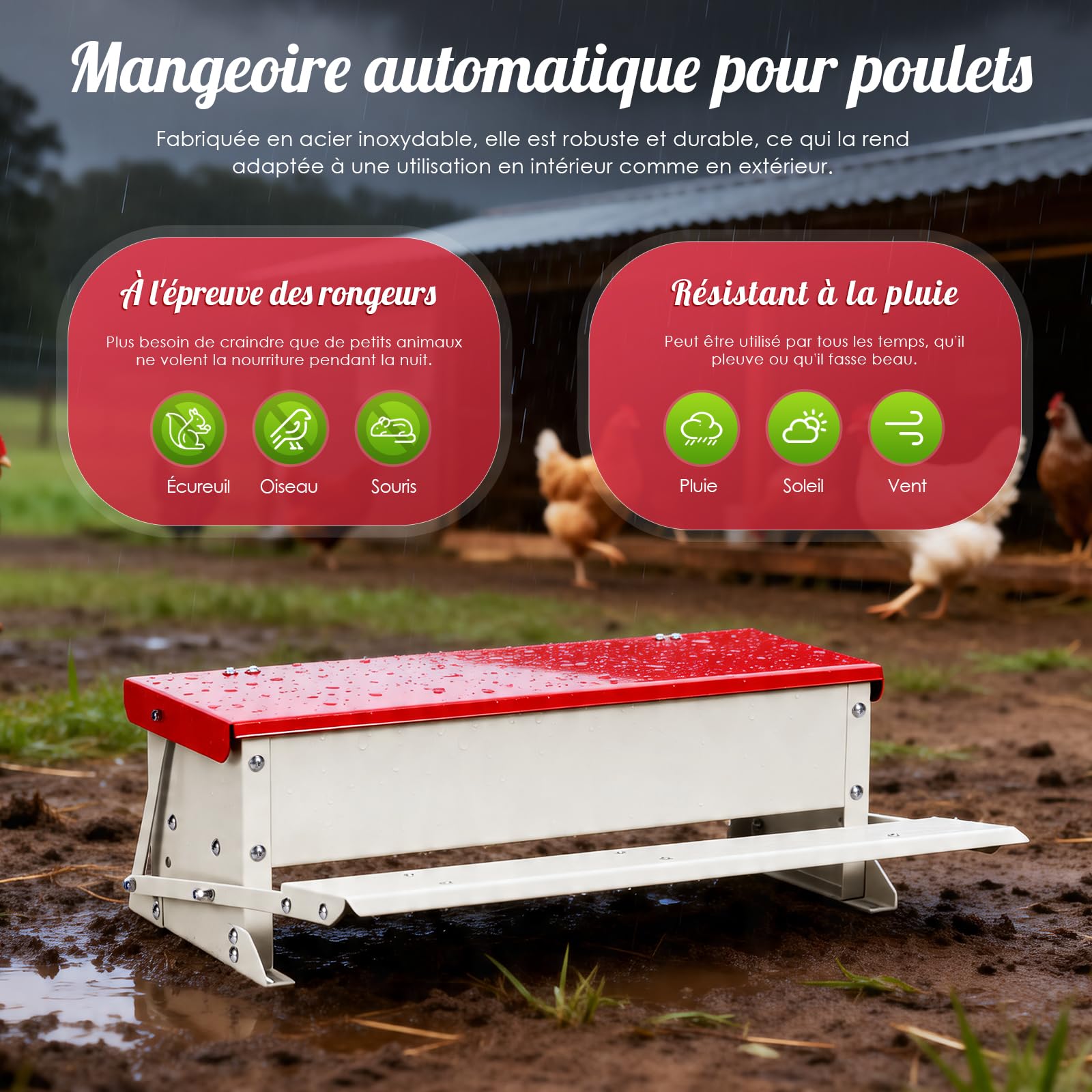 Distributeur automatique de nourriture pour poules (volume de 5 kg), en acier galvanisé, mécanisme de marche avec marchepied, couvercle étanche, distributeur de nourriture anti-rats pour