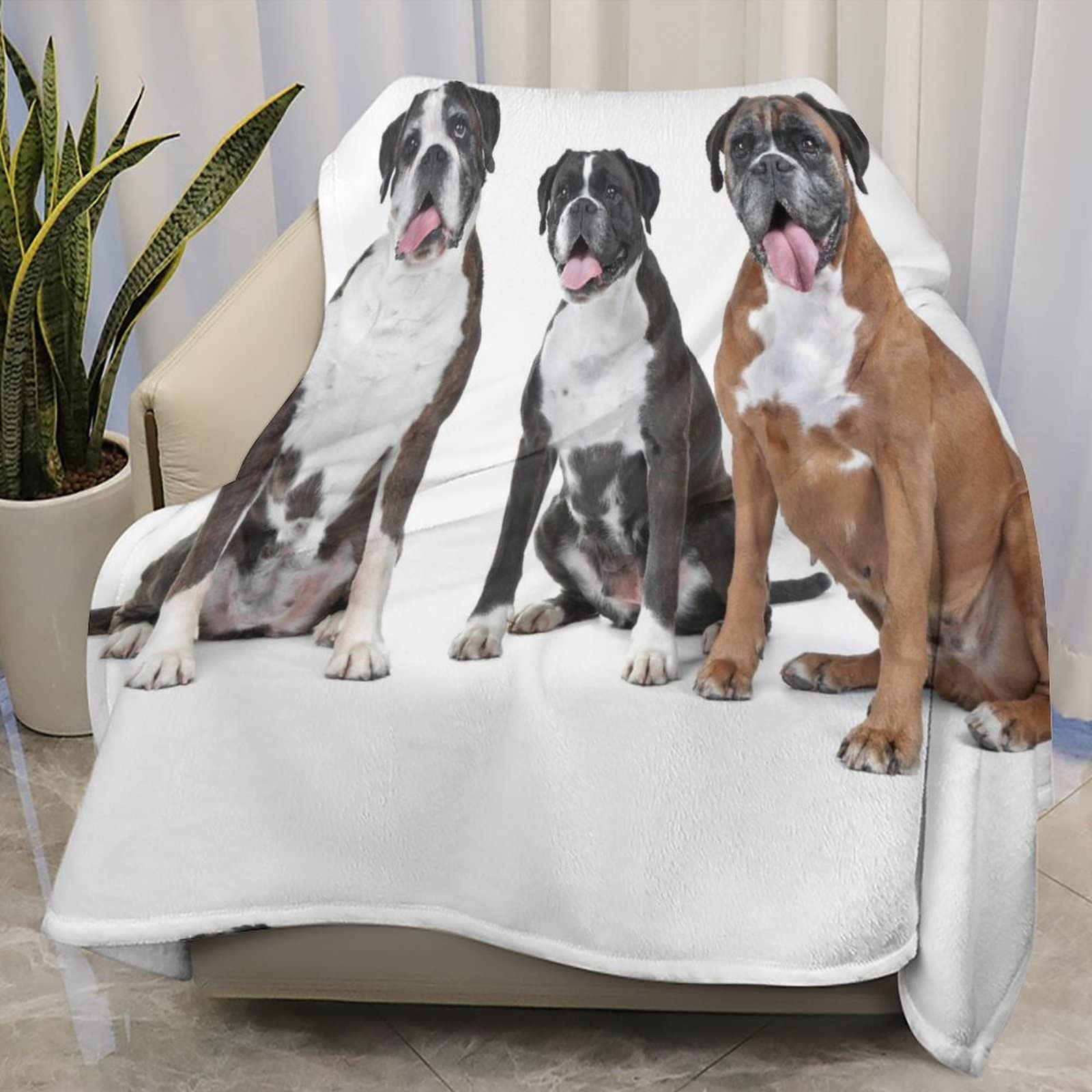 Tradesforu Three Boxer Dogs Throw Blanket Lightweight Flannel Fleece Blankets Warm And Cozy Super Soft Throws 40"X50" Inches For Winter Bedding And Couch