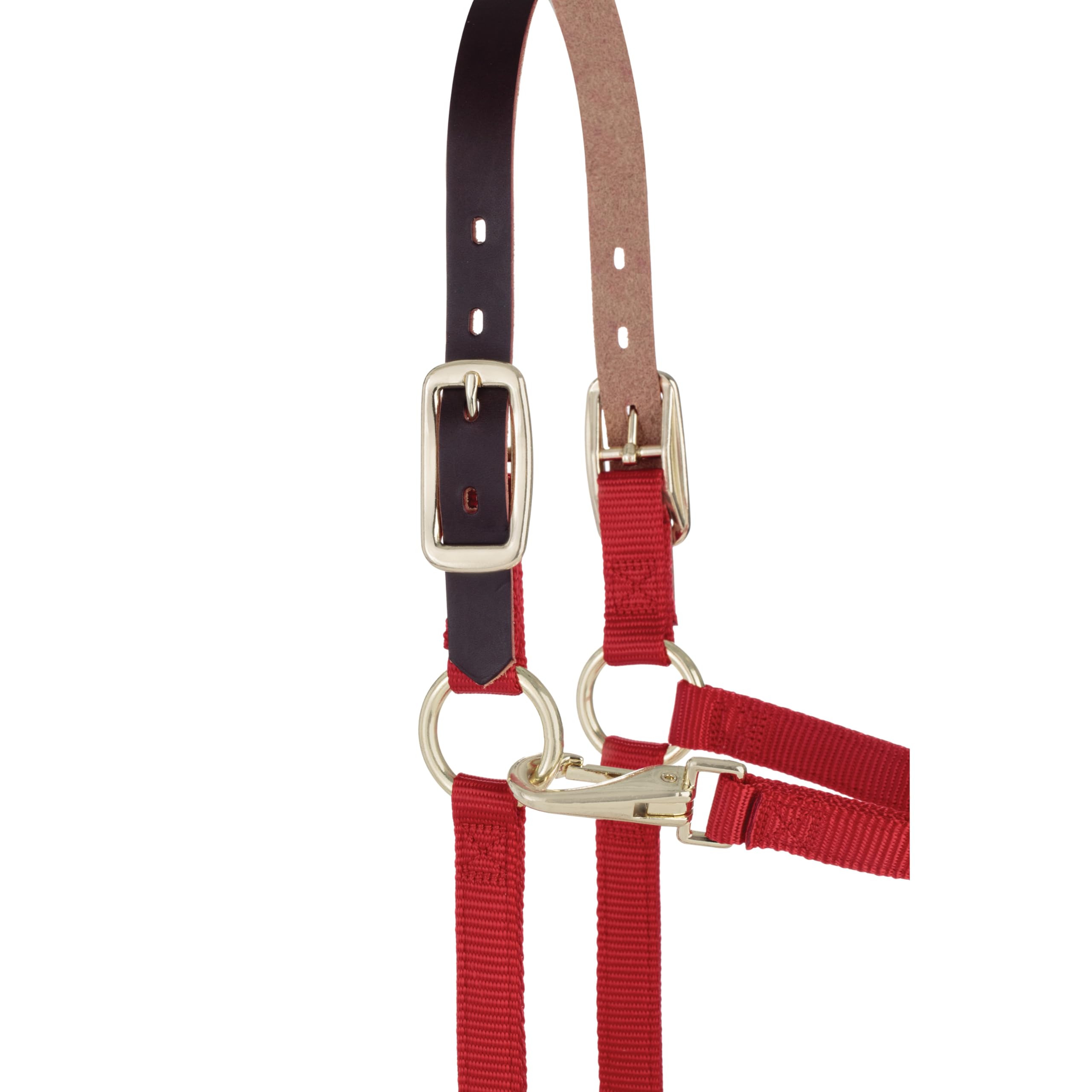 Weaver Leather Cavezza regolabile in nylon per cavalli