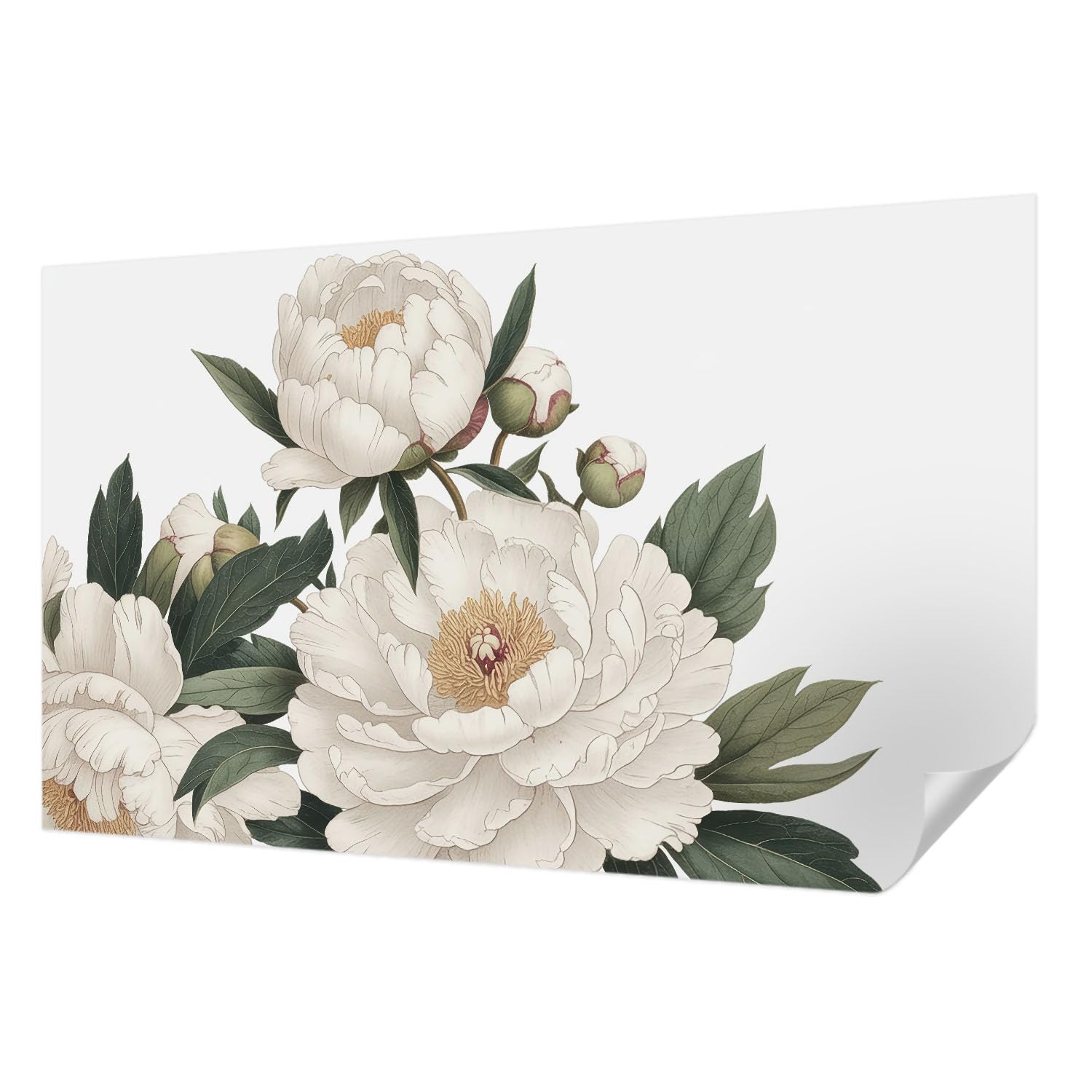 Papier peint adhésif 416x254 pivoines blanches panoramique résistant