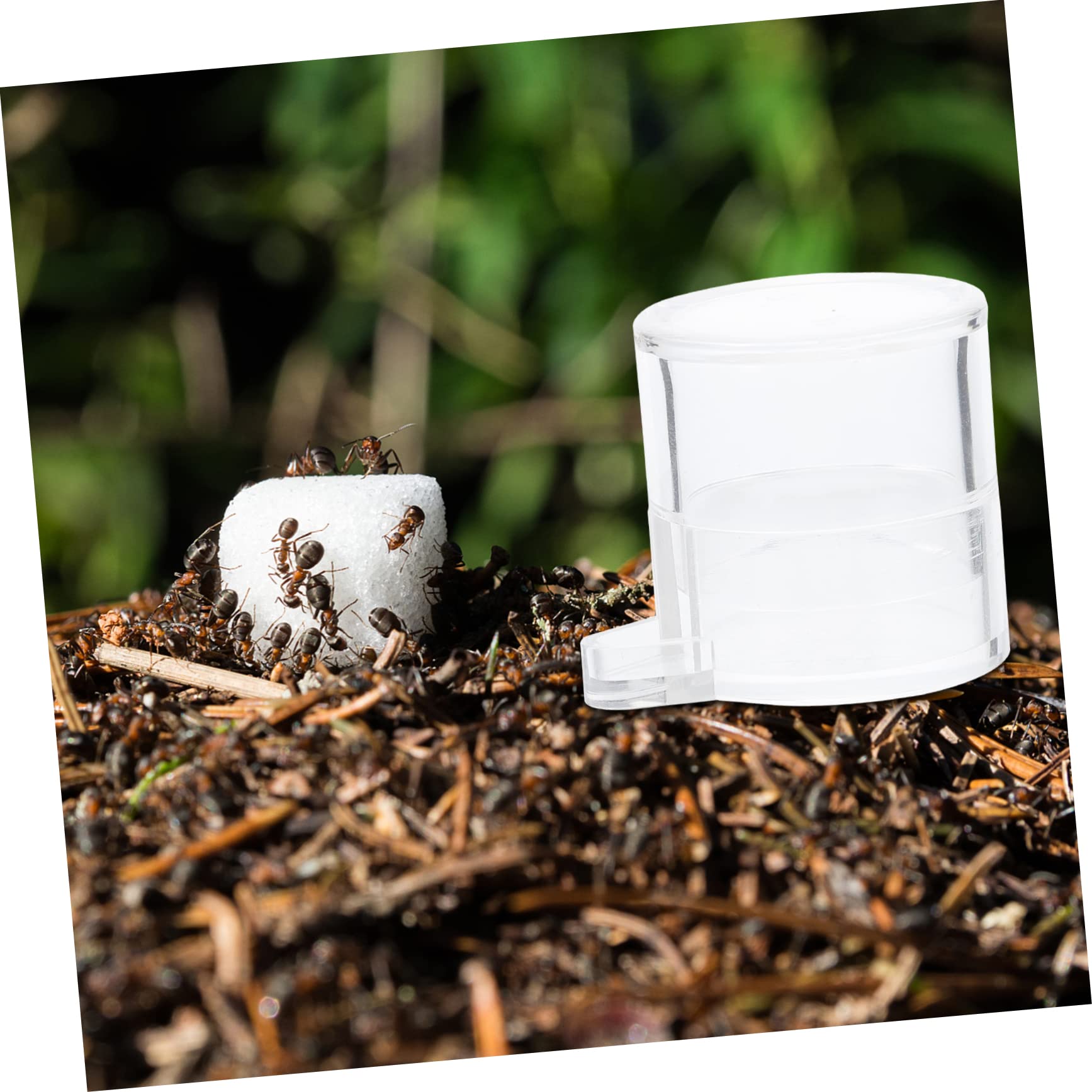 Kisangel 2 Pièces Alimentation pour Fourmis Acrylique Mangeoire et Récipient D Eau Transparent pour Observation des Fourmis