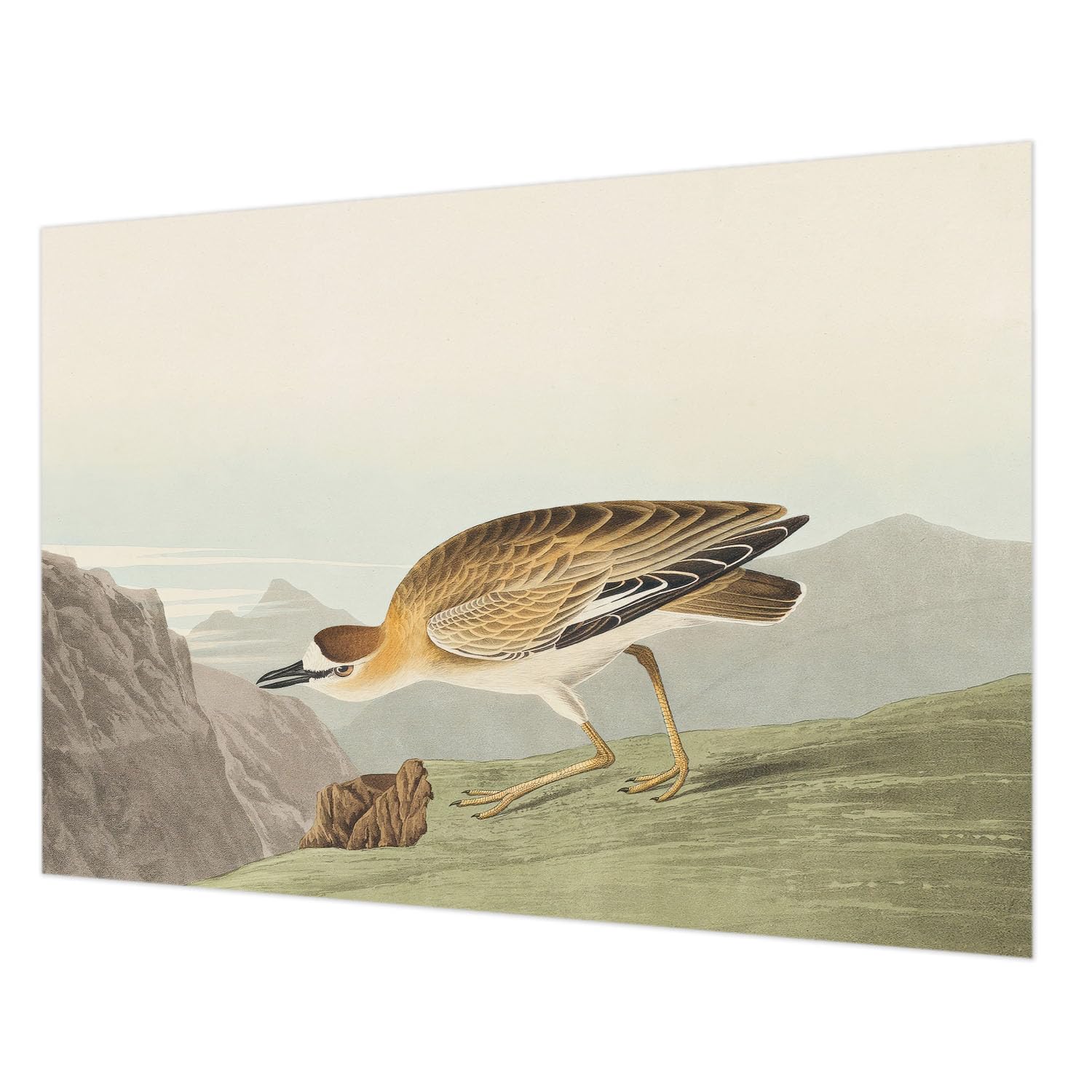 Décor mural oiseau de montagne 208x146 cm pour créer un salon cocooning et zen