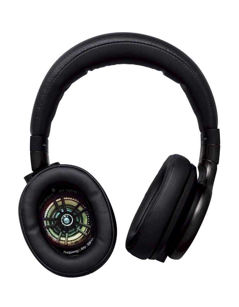 【dreamin’】Panasonic RP-HD10-K Panasonic RP-HD10 - Headphone Discussion / Help - HifiGuides