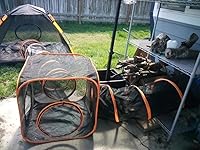 Review Image by A. Krause A. Krause