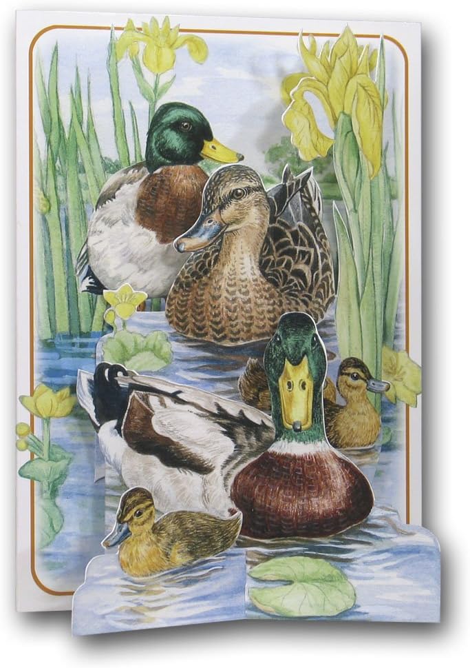 Mallard Ducks - Birds - a 3D Pop Up Greeting Card from