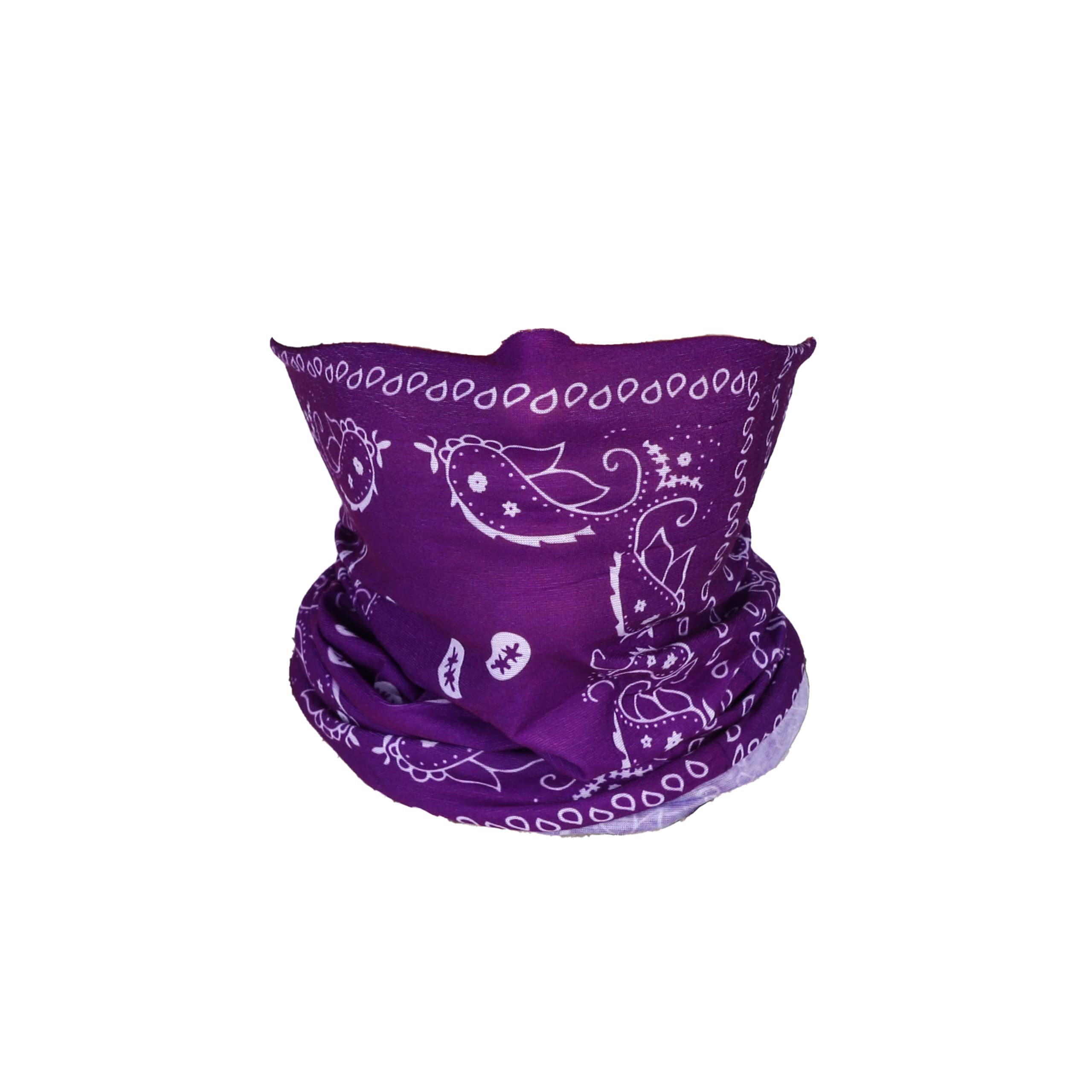 Motique Accessories Paisley Bandana Neck Gaiter Tube Headwear Motorcycle Face Scarf