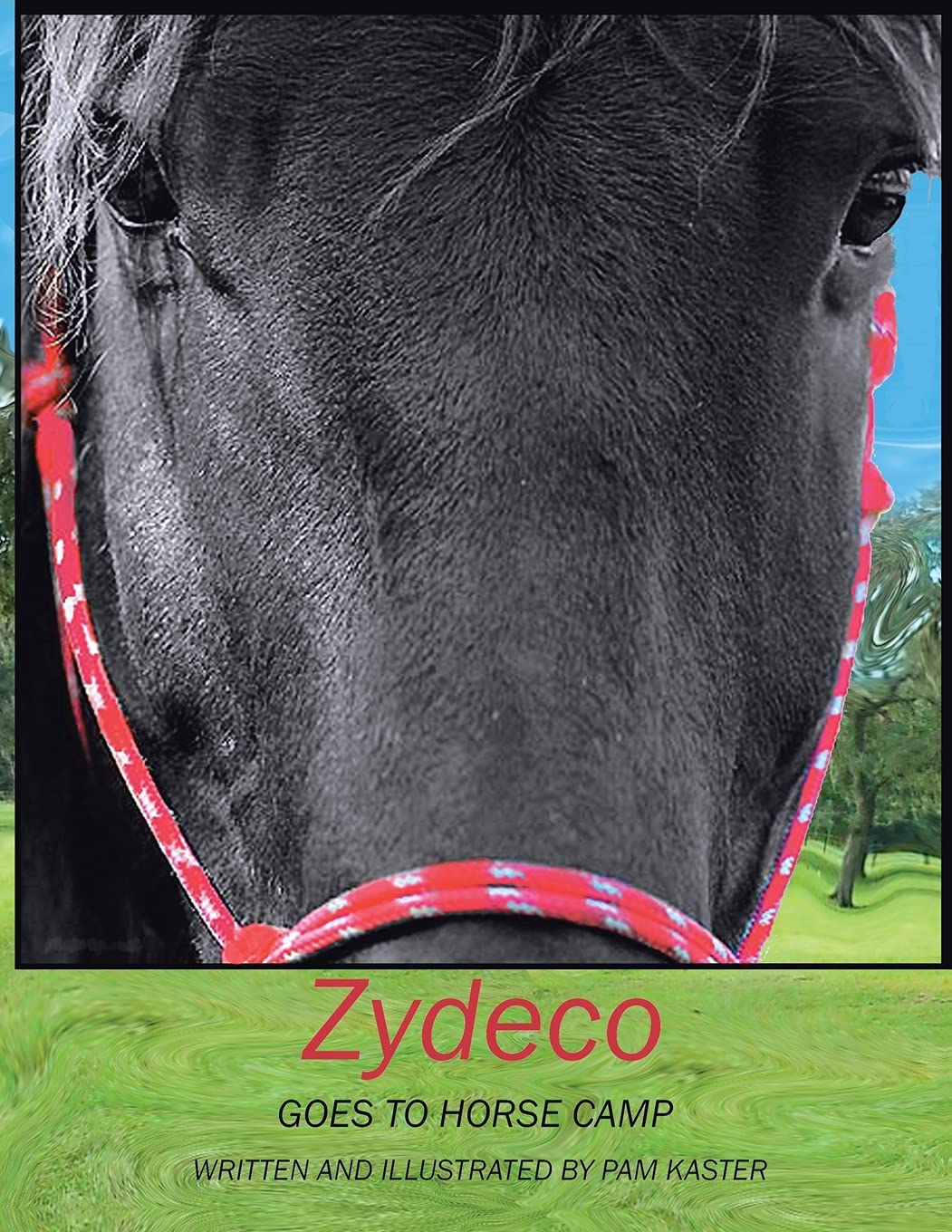 Zydeco Goes to Horse Camp