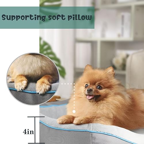 Miniatura 3 de Cama ortopédica para perros pequeños, sofá impermeable para perros pequeños, sofá de espuma de apoyo para mascotas con funda extraíble, parte