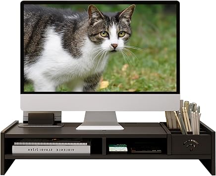 Catekro Monitor Stand Plastic Monitor Stand Desk Screen Riser Monitor Riser for Laptop PC Monitor Black