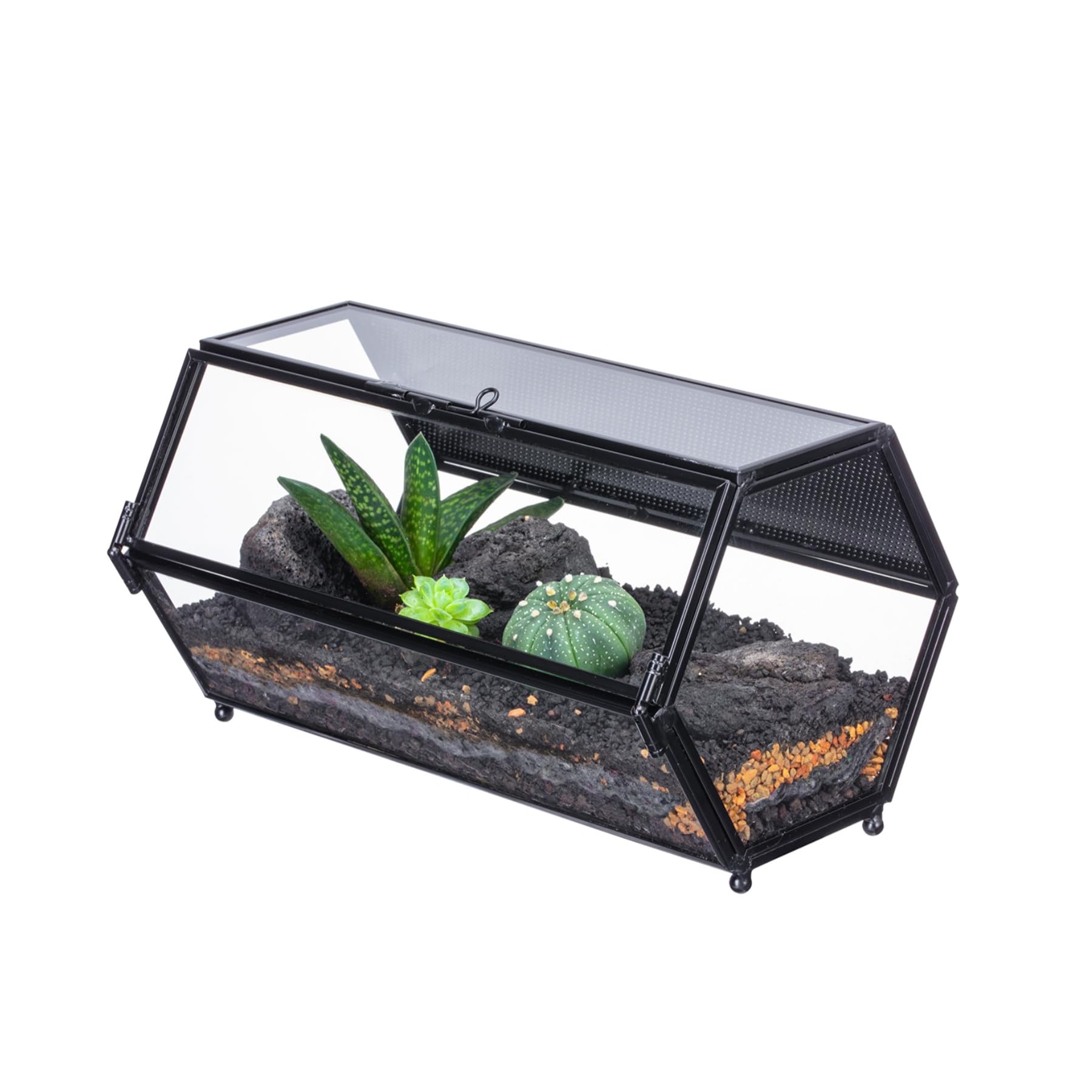 NCYP Mini Glass Enclosure Terrarium with Mesh & Door for Jumping Spiders, Small Insect Habitat - Hexagon Shape Terrarium 20 x 11.5 x 10 CM, Indoor Decor, Black (Plants Not Include)