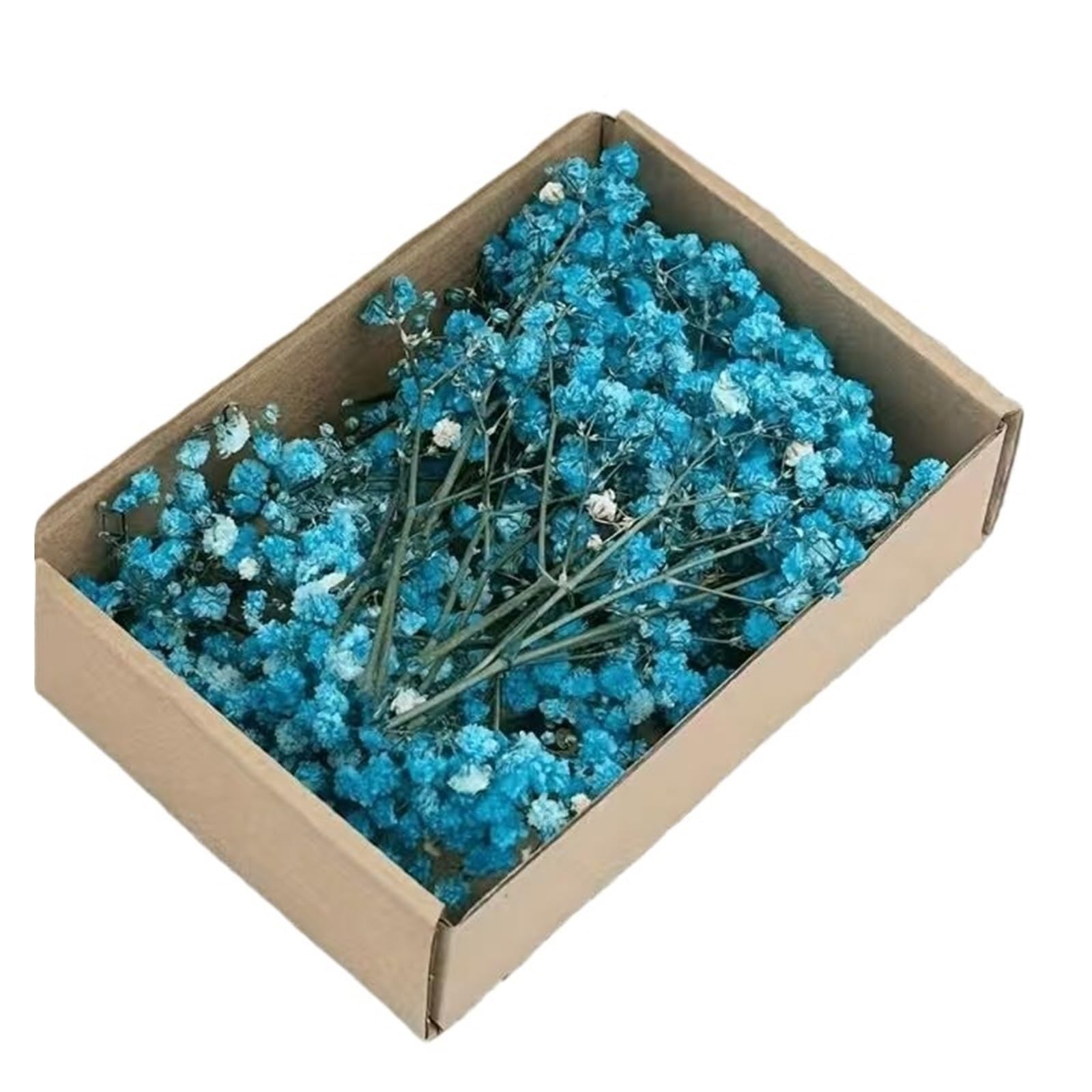 WJIAYAO dried gypsophila flowers 50Pcs Mini White Dried Baby's Breath Flowers Bouquet Small Bunch Gypsophila Bulk DIY Crafts Invitations Candle Making Home Decor(Blue)