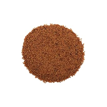 YUVIKA Khubkala Pili - Sisymbrium Irio Linn. - Hedge Mustard Yellow (400 Grams)
