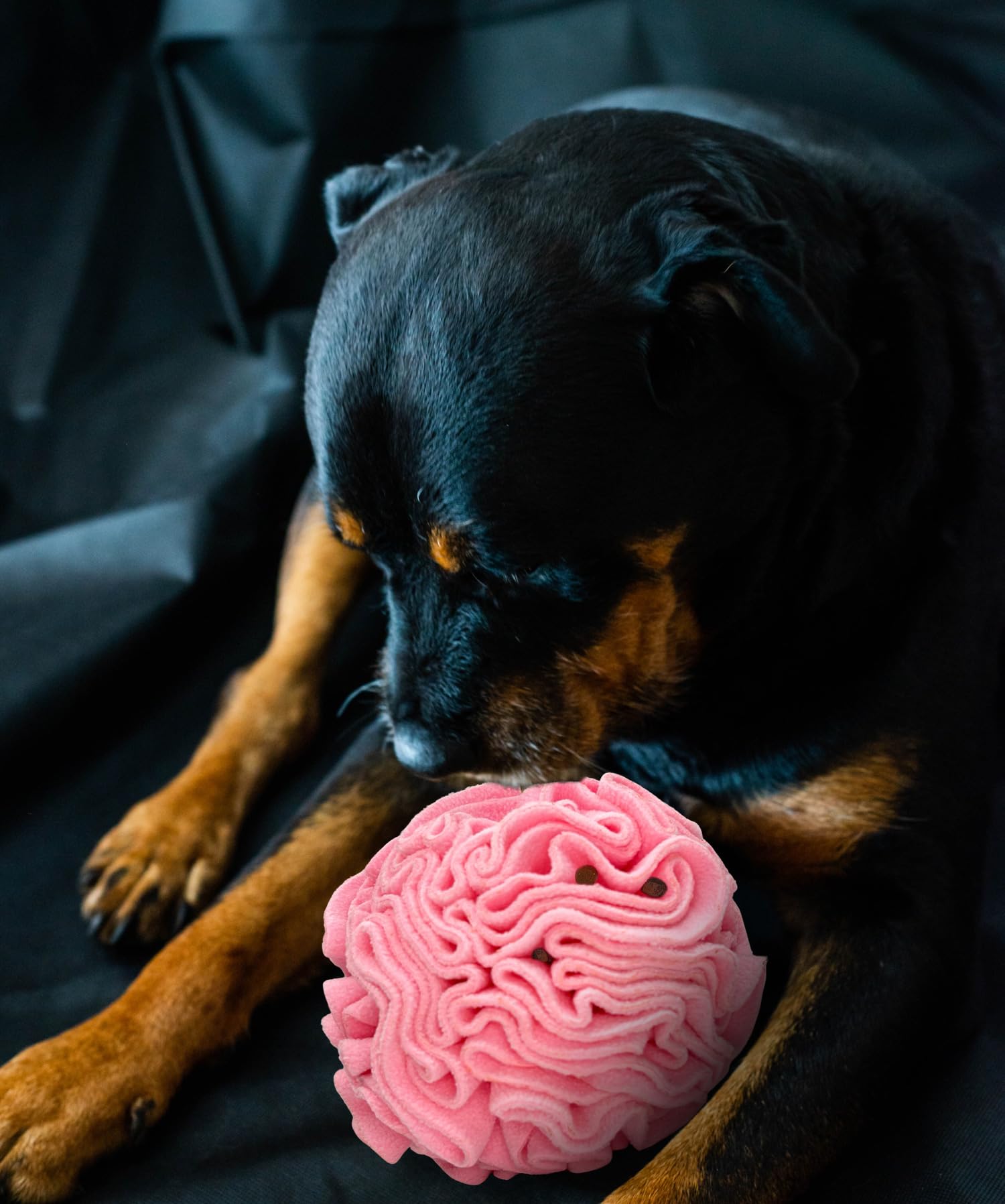 Glory To Dog Średniej rasy snuffle interaktywne żerowanie pies puzzle piłka zabawka różowa duża