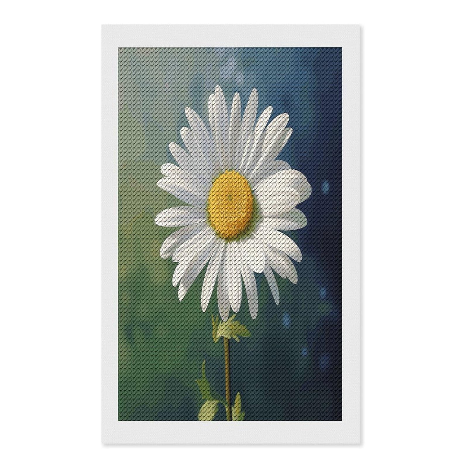 VstaDank Daisy Flower Diamond Painting Kits Exquisite DIY Full Round Drill Diamond Dots Painting for Adults Beginner Diamond Photo Paint with Diamond Picture Art Wall Decor 12"x20"