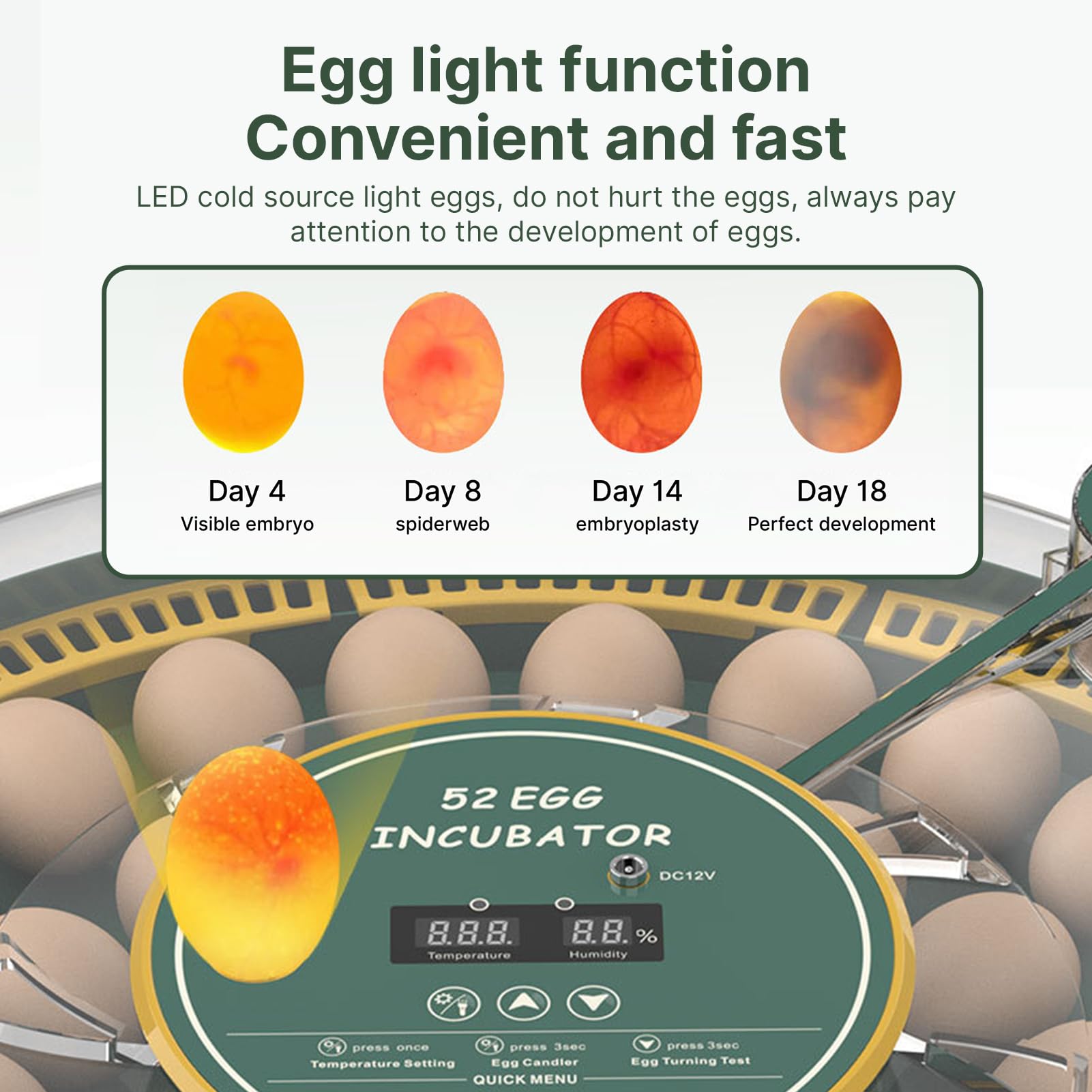 Walmeck 52 Incubatore Eggs Automatico Trasporto di di Controllo dell'umidità Visualizza Incubatrice di Cova di Pollo (Plug)