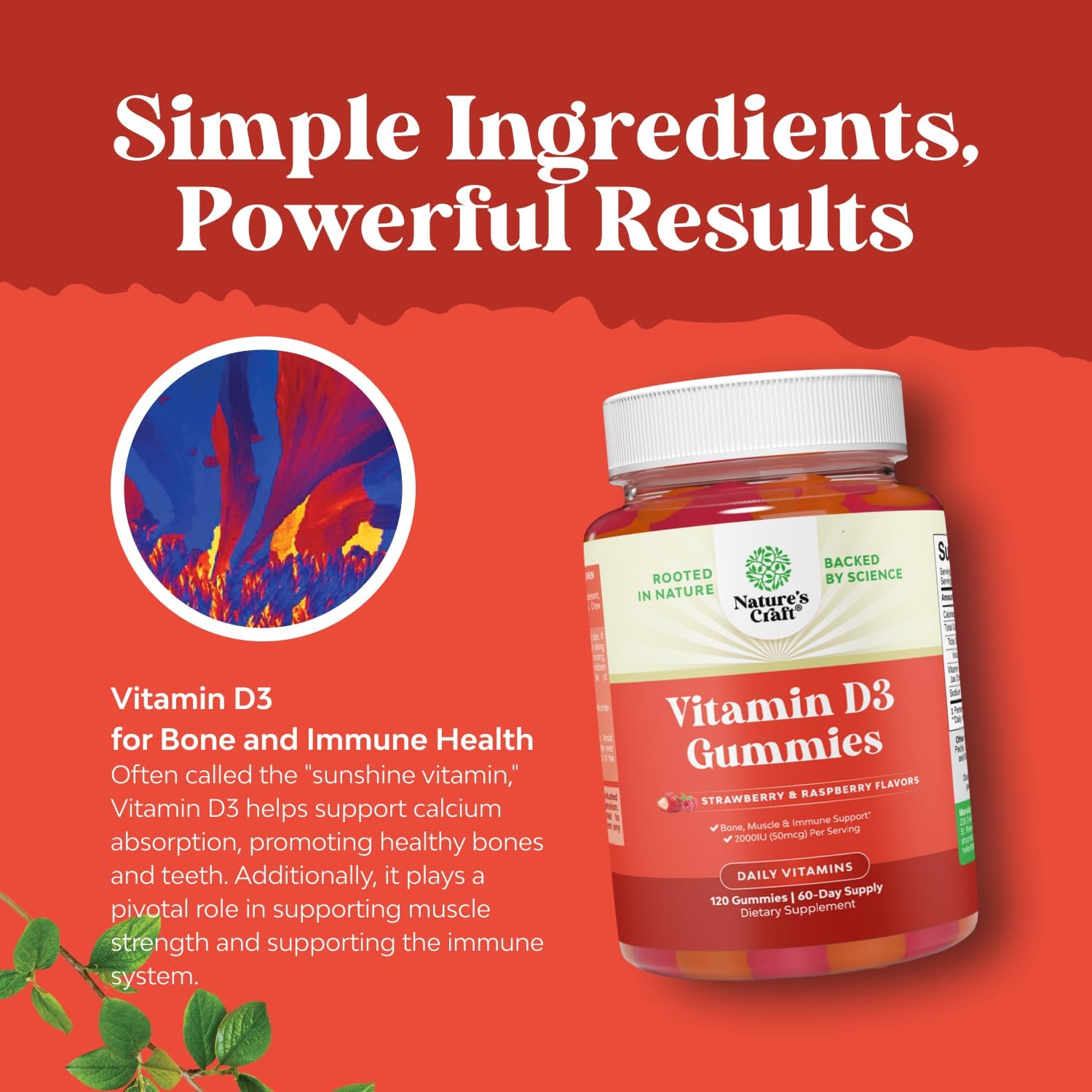 Natures Craft Vitamin D Gummies for Adults - Daily Immune Support Gummies with Vegan Vitamin D3 2000IU - D3 for Adults Wellness Non GMO Gluten Free - 120 Count (Pack of 1)