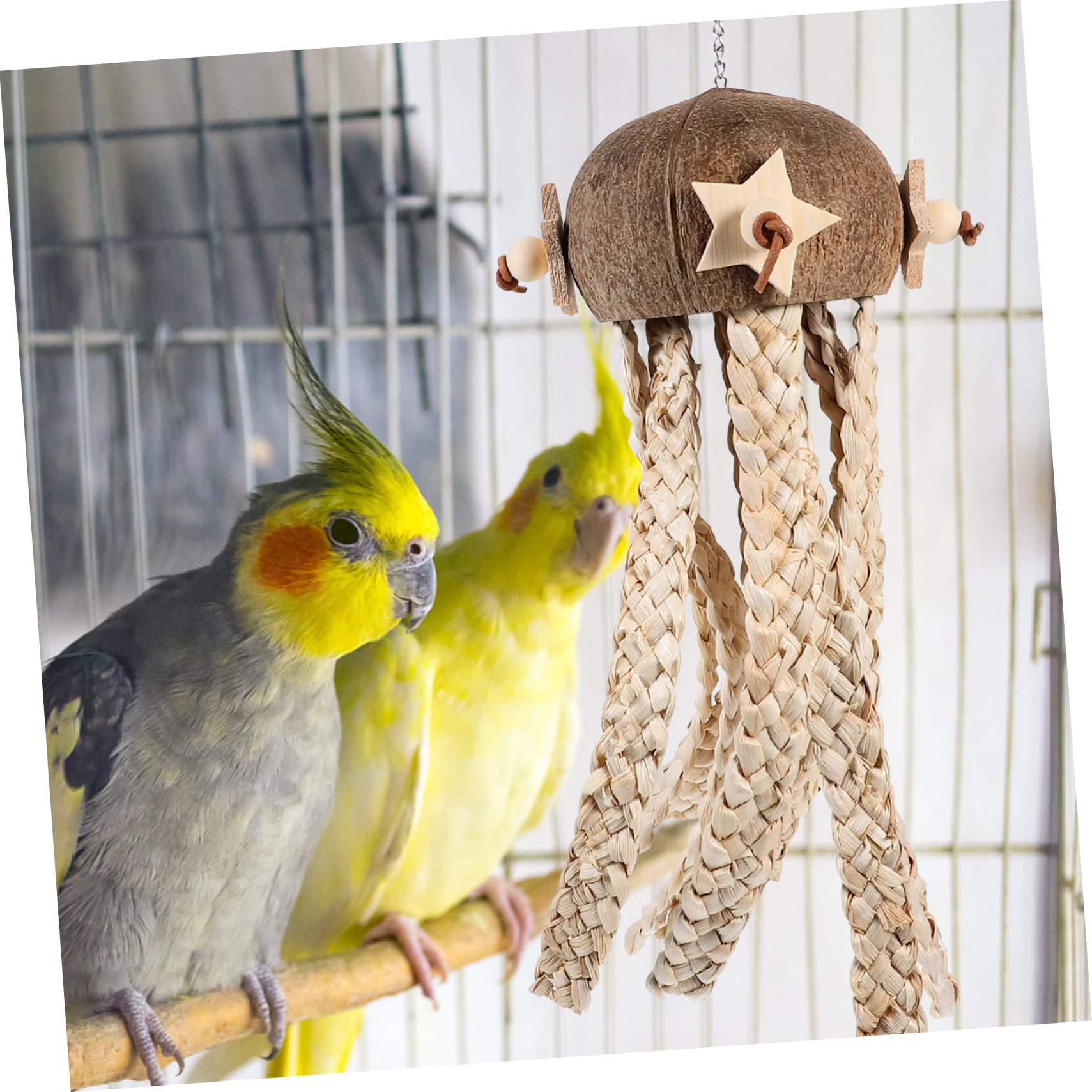 TOYANDONA Vogelspielzeug aus Kokosnussschale zum Aufhängen Sicheres Kauspielzeug für Papageien Futterspielzeug für Vogelkäfige und Natürliche Beschäftigung