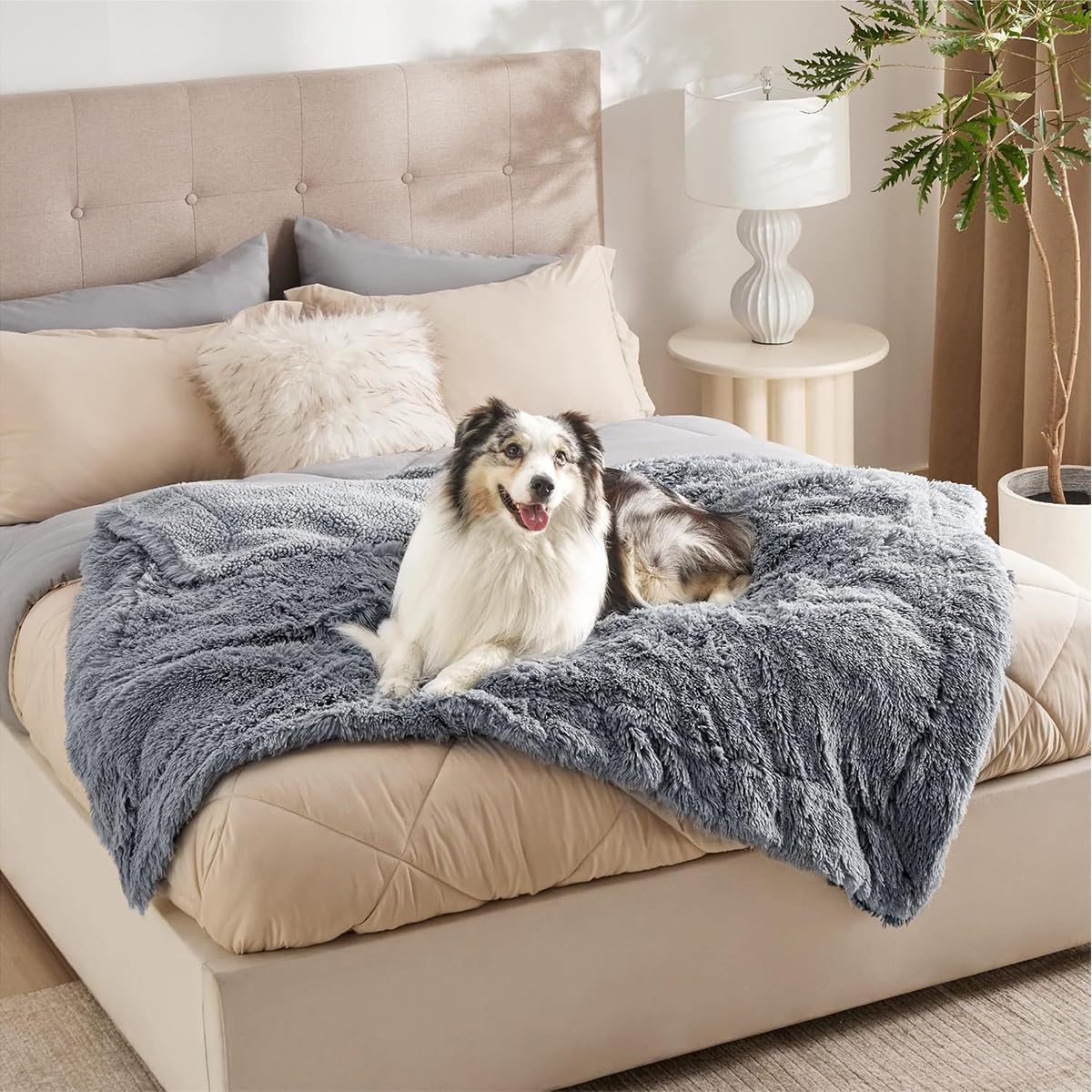Mantas impermeables para perros, mantas grandes y medianas para cachorros, gatos, manta a prueba de fugas para protector de sofá cama, tapete térmico suave y cálido para dormir (negro, 145 x