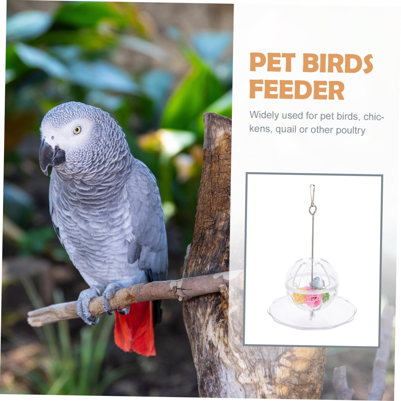 BESPORTBLE 2sets Mangiatoia Per Pappagalli Con Pallina Da Foraggio Accessori Per Uccelli Facile Da Installare Per Macaw e Cockatiel Sicuro e Salubre Gioco e Nutrimento Per Tuoi Volatili
