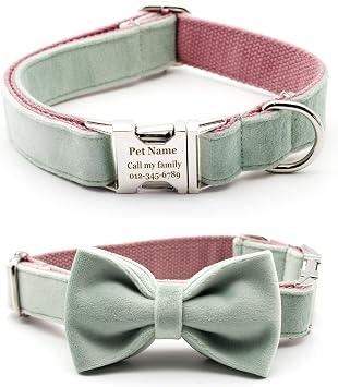 Engraved Dog Collar Personalized Name Adjustable Thick Mint Pink Velvet