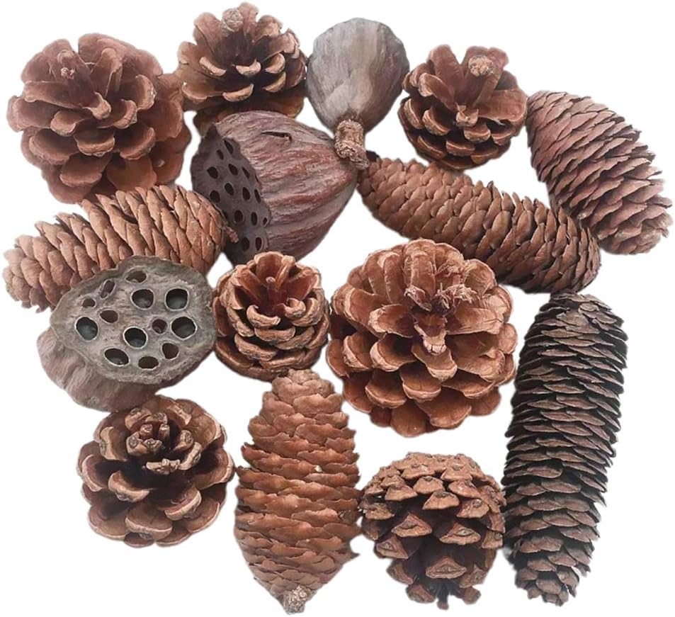PRETYZOOM 1set Pine Cone Decor with Natural Pine Cones Dry Lotus Seedpod Style for Christmas Home Decor Reusable Lightweight for Xmas Parties and Giving