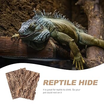 Reptile Accessories Reptile Decor Natural Forest Branch Terrarium Habitat Decoration Lizard Climbing Tree Branch Bearded Dragon Gecko Snake Frog Chameleon Spider 3pcs Crested Gecko Terrarium