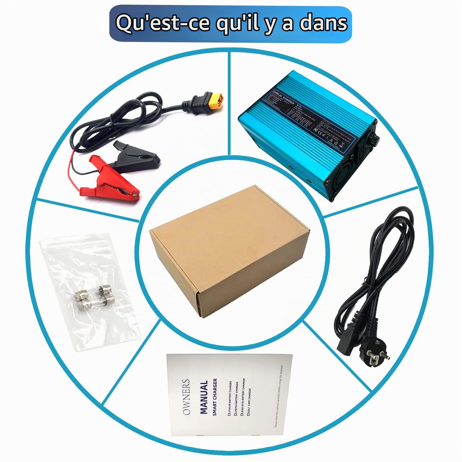 Chargeur de Batterie LiFePO4 14,6 V 10 A, Chargeur Intelligent pour Batterie Lithium-Fer 12 V LiFePO4, Chargeur de Batterie LiFePO4 14,6 V, Charge Rapide, extérieur Bleu avec connecteur Crocodile