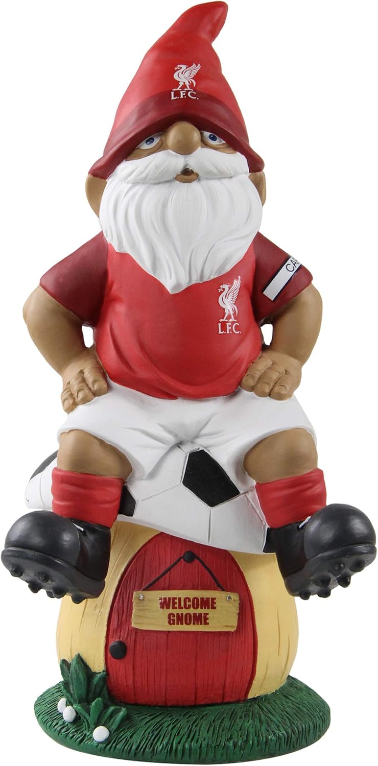 Liverpool FC Stein Pint Gl Clear (One Size) | DIY At B&Q