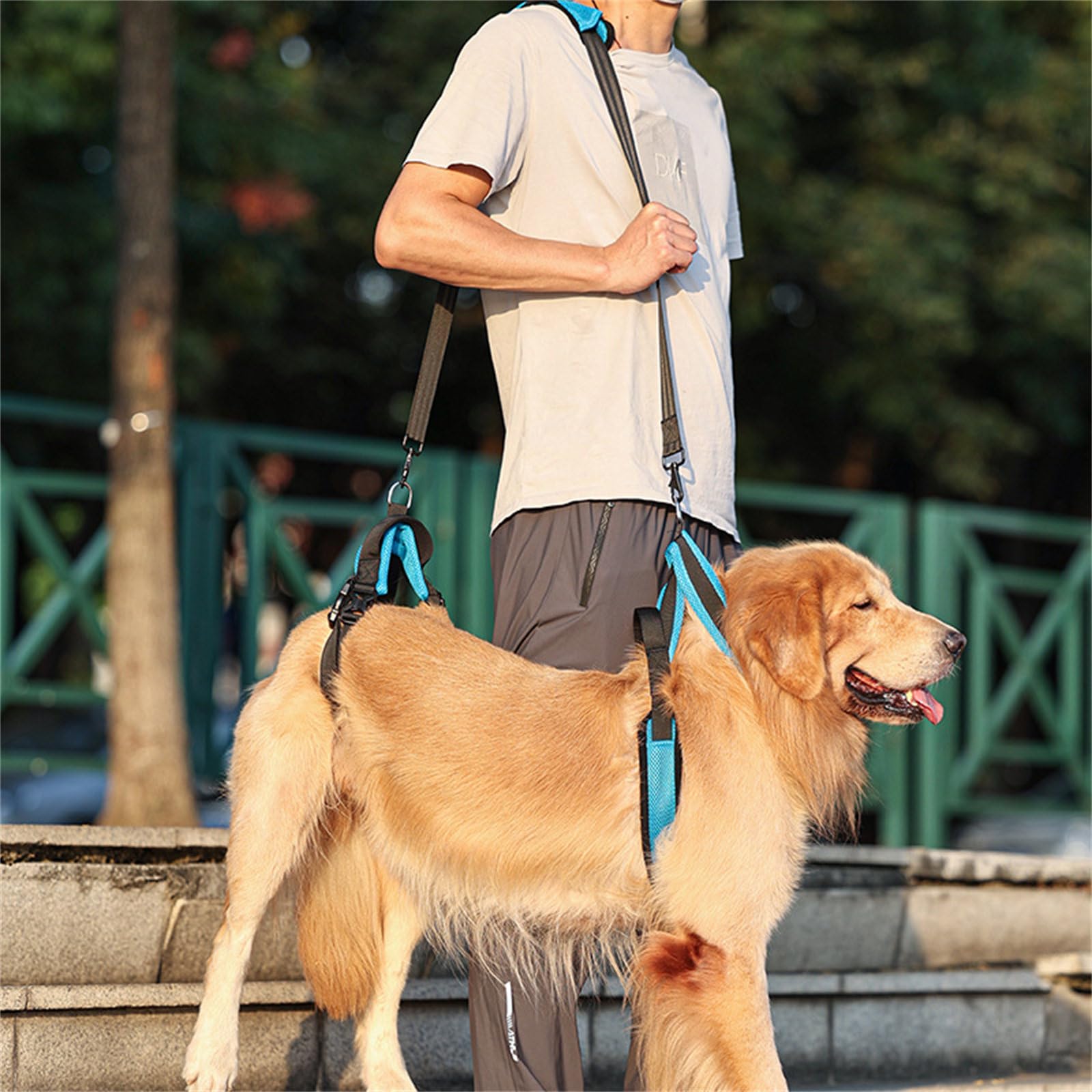Cinturón cómodo de instalación rápida para perros ancianos, equipo de caminar al aire libre, arnés para perros mayores