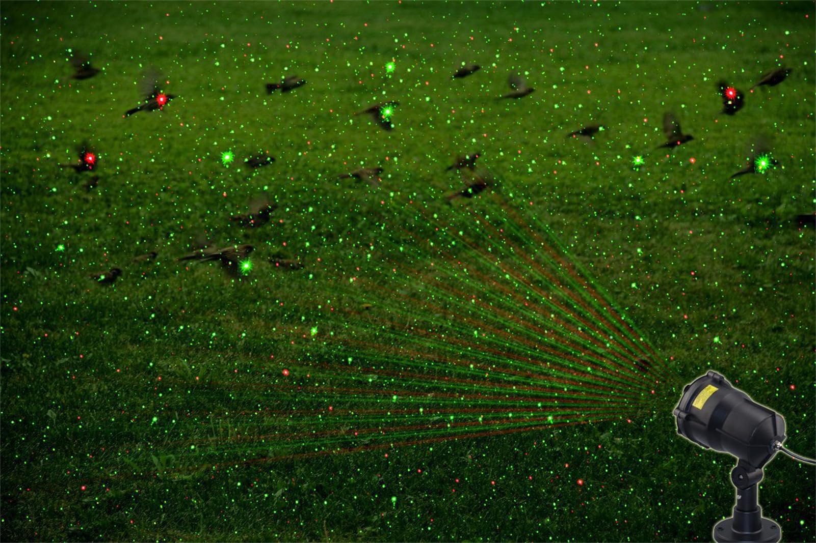 Cacciatore di Uccelli Laser da Esterno con Telecomando Timer per piccioni storni passeri deterrente