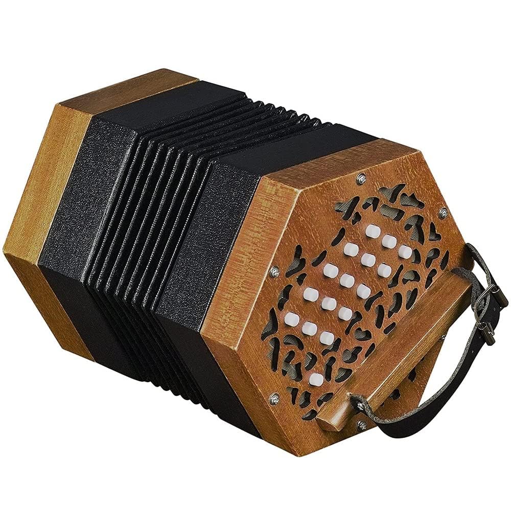 Concertina akordeon, przenośne pianino ręczne z 30 przyciskami, dla początkujących, z torbą do noszenia i regulowanym paskiem, idealny dla entuzjastów muzyki i uczniów