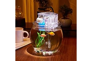 1 Gallon Aquarium for Office Desktop