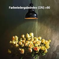 EDISHINE E27 LED Izzó 2700K Meleg Fehér, 10W 1000LM Fényerőszabályozható, 60W Hagyományos Izzó Helyettesítő, Energiatakarékos, 6 db Csomag 3