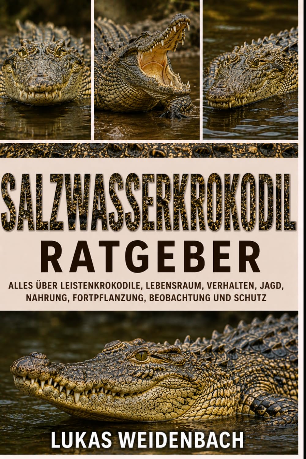 Salzwasserkrokodil Ratgeber: Alles über Leistenkrokodile, Lebensraum, Verhalten, Jagd, Nahrung, Fortpflanzung, Beobachtung und Schutz