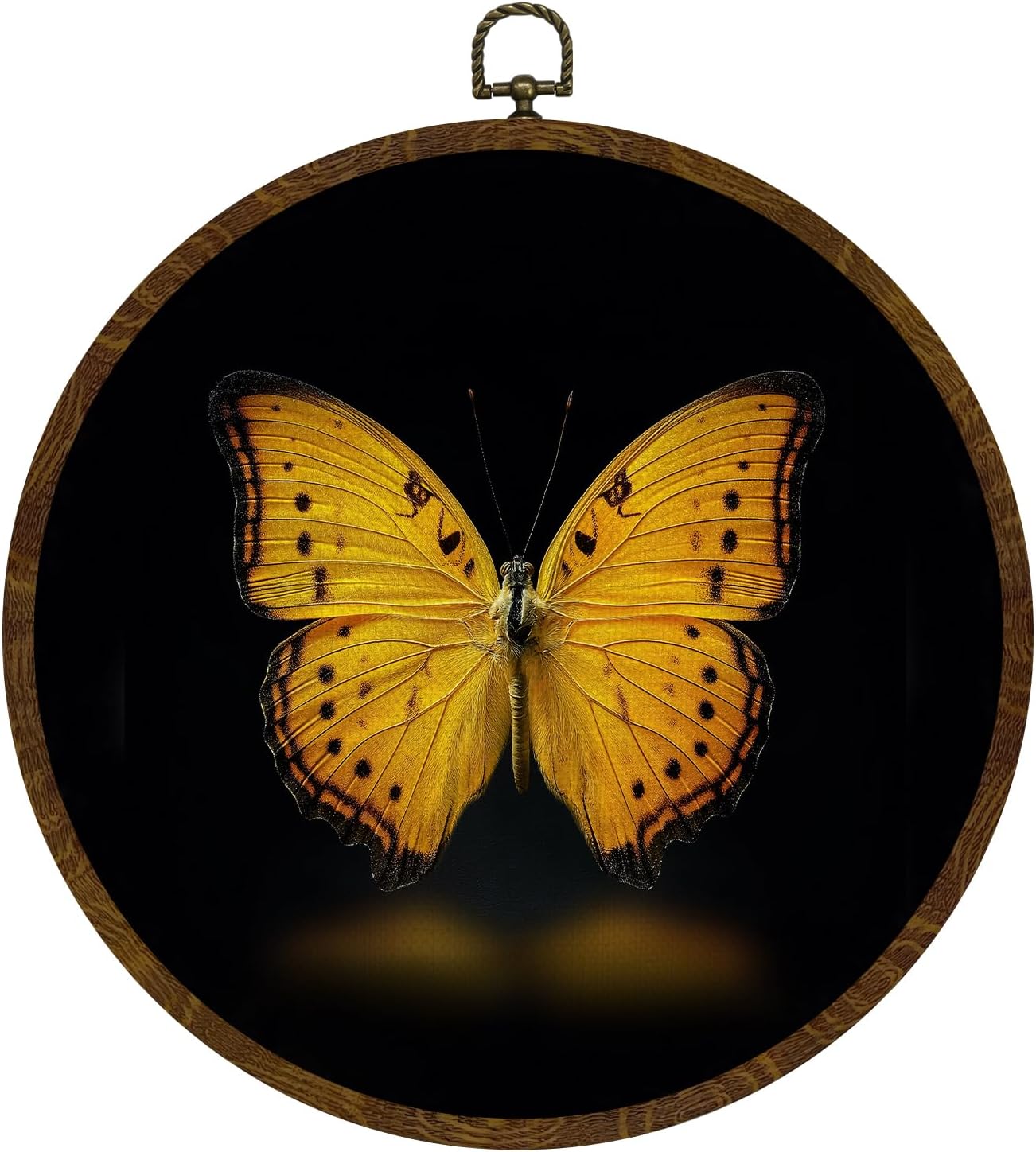Butterfly Round Frame Wall Art Decor, 10x10 Inch Vintage Insect Canvas Print Poster, Botanical Nature Artwork Wall Hanging Decor for Bedroom, Living Room, Best Gift for Women(Orange-Butterfly)