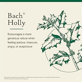 Bach Original Flower Remedies, Holly - Goodwill Towards Others - Natural Homeopathic Flower Essence for Emotional Balance - Vegan, Gluten Free, Sugar Free - 20mL Dropper