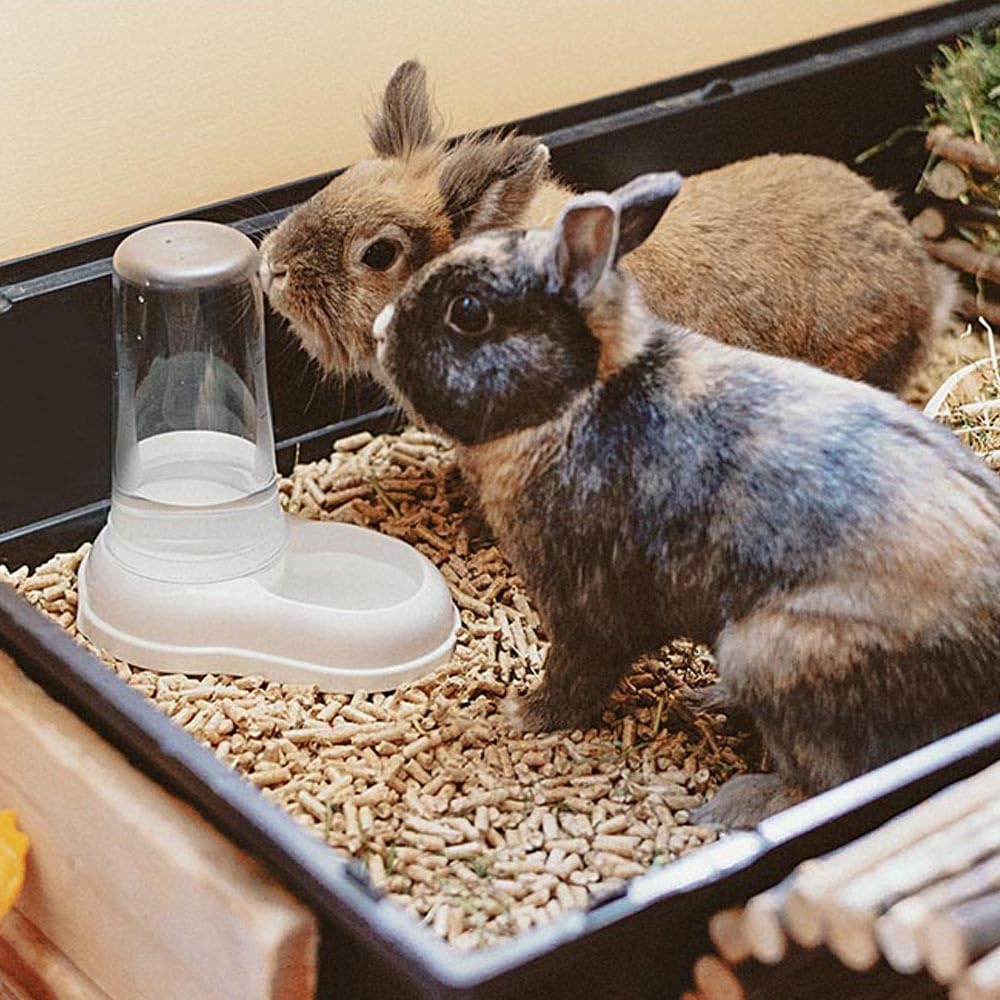 Ferplast Distributore cibo o acqua per cani e gatti AZIMUT 600 Mangiatoia per cibo secco acqua 0,6 Litri, Fondo antiscivolo, 12,5 x 19 x h 19,5 cm Blu