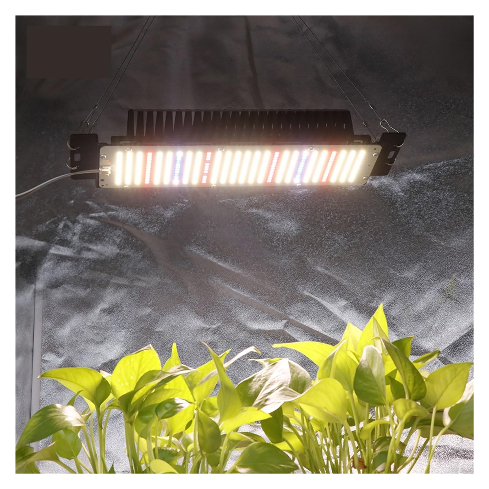 Lámpara de Cultivo, Luz LED de Cultivo de 300W con lámpara de Crecimiento de Plantas de Espectro Completo LM2835 for siembra de Flores de Plantas hidropónicas de Invernadero de Interior