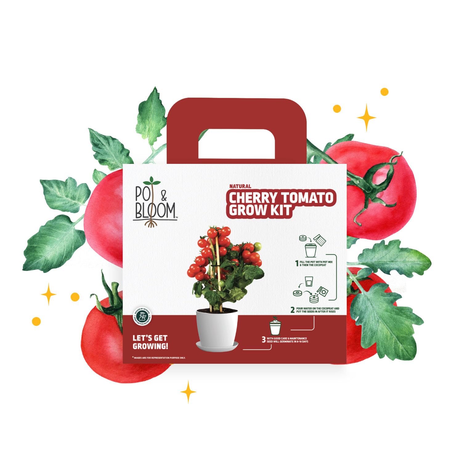 Pot and Bloom Cherry Tomato Gardening Kit| Home Gardening| Pack Includes- Cherry Tomato Seeds, Pot, Poting Mix(Soil & Fertilizer Mix)| Plant Growth and Protection Spray (B0BHH6JHY9) Amazon Price History, Amazon Price Tracker