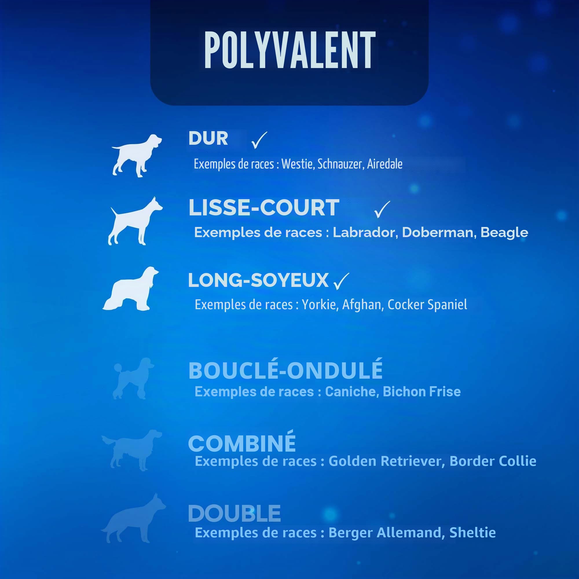 Wahl Kit complet de tondeuse et toilettage pour chiens - Tondeuse filaire à faible bruit pour animaux domestiques à la maison