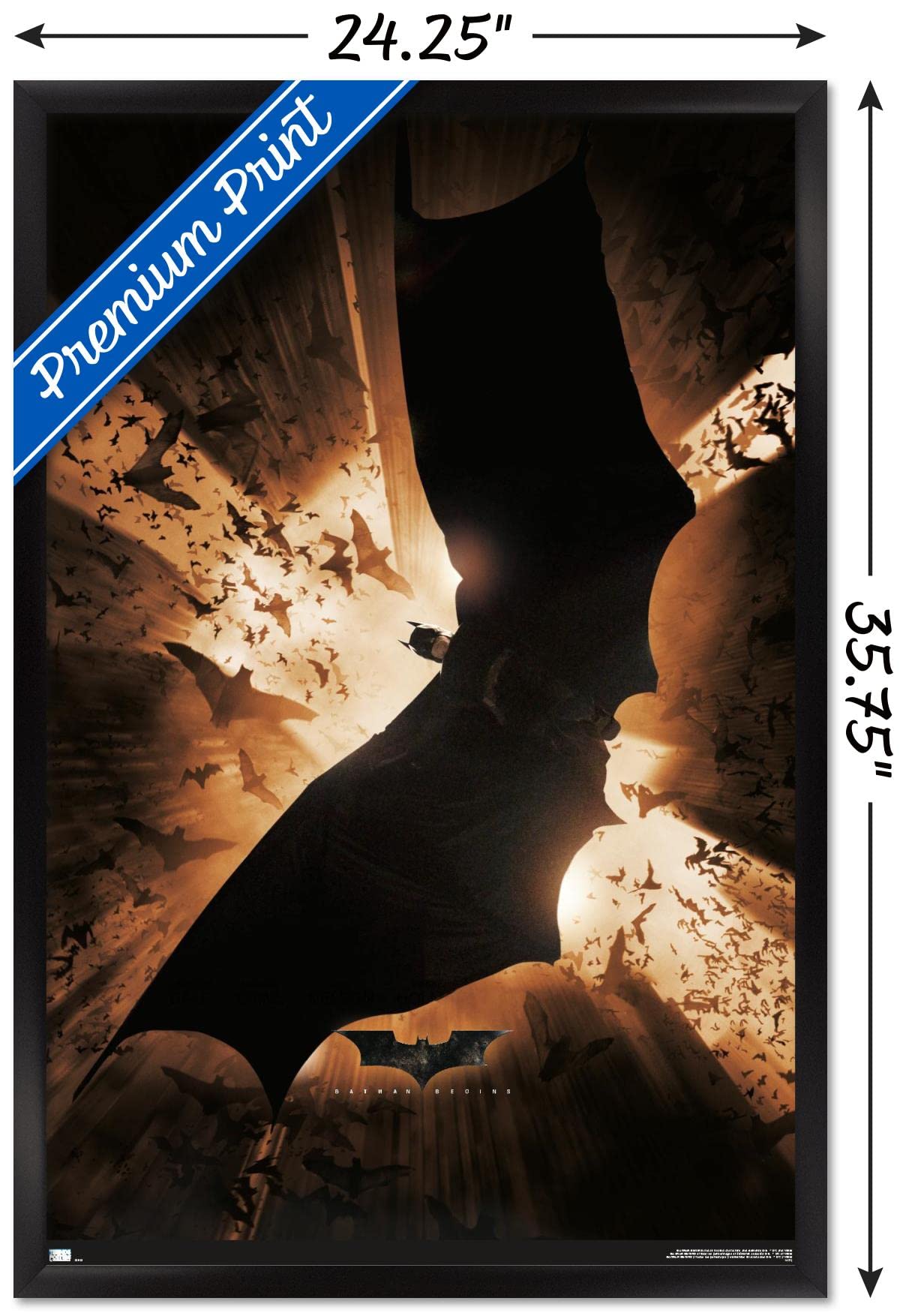 Amazon.com: Trends International DC Comics Batman Begins