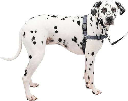 PetSafe Deluxe Easy Walk - Arnés de adiestramiento anti tirones para perros con anillo en D arnés reflectante para mejor visibilidad y cómodo