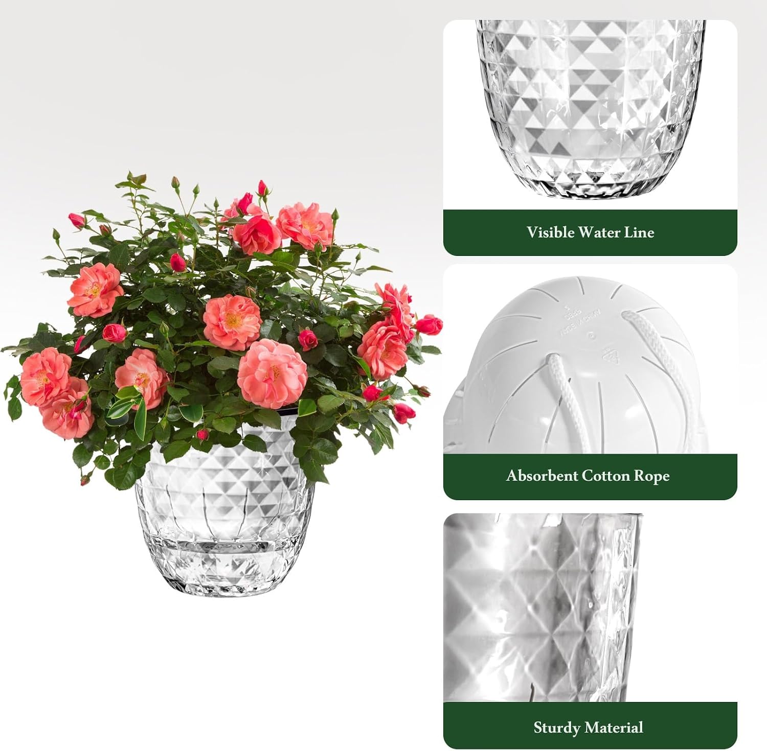 Self Watering Pots for Indoor Plants, Flower Pots, Self Watering Plant Pot-3pcs 6inch Clear image 3