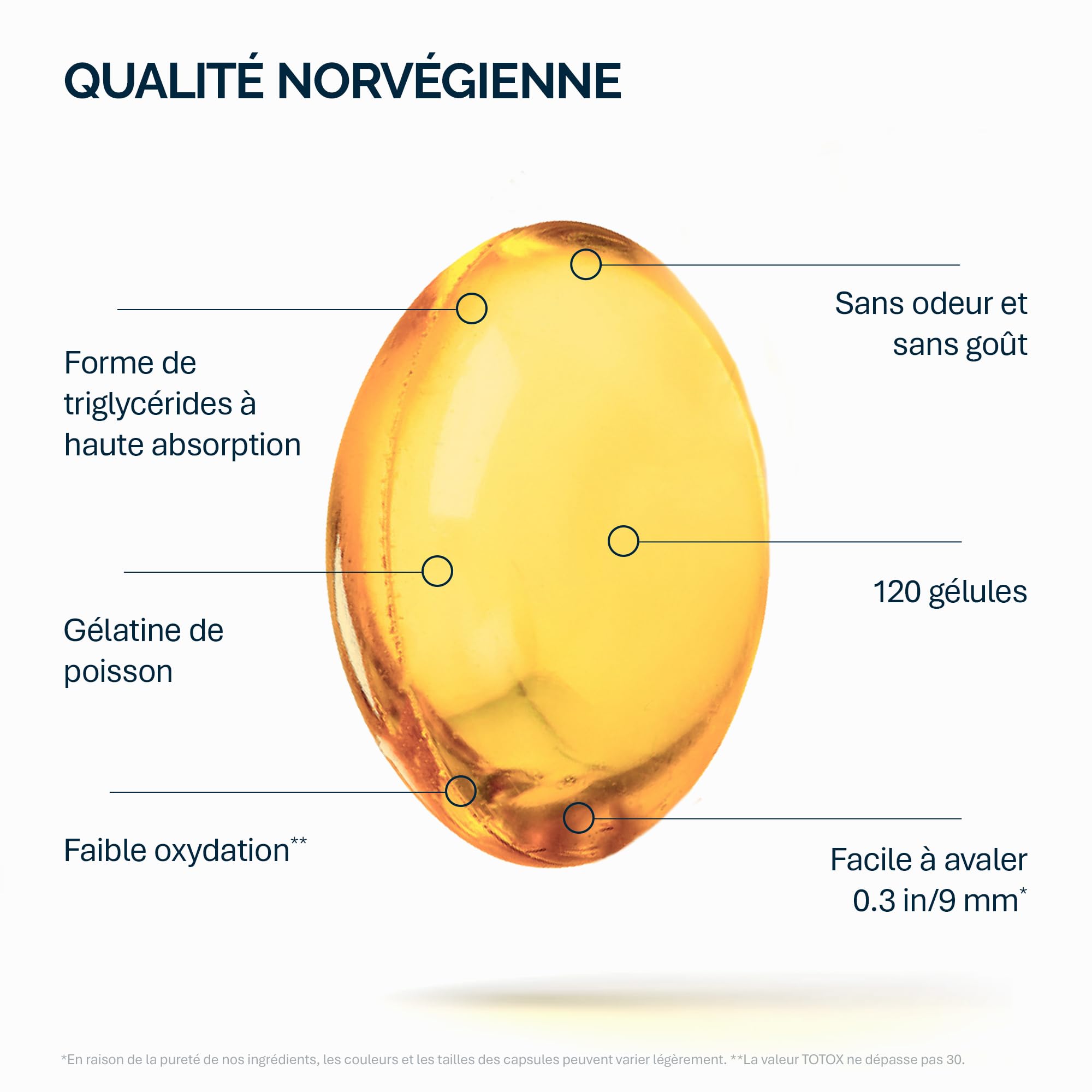 NFO OMEGA 3 6 9 HUILE DE SAUMON [120 petites gélules] Norvégiennes huile de poisson Omega 3 6 9 de saumon avec EPA, DHA, DPA en triglycérides, Omega 3 enfant et adultes, Oméga 3 gélules, 14+