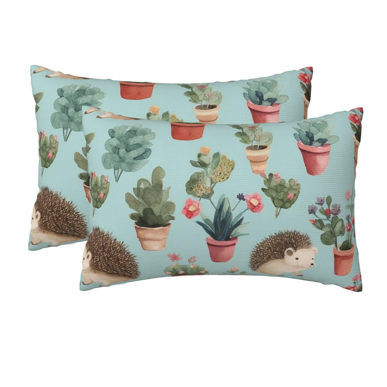 2 Pack Queen Size Pillow Cases for Hair and Skin Soft Breathable Pillow Case Covers with Hidden Zipper Hedgehog Potted Flower Pillowcase 20x30 Inches Pillow Cover for Sleeping Gift