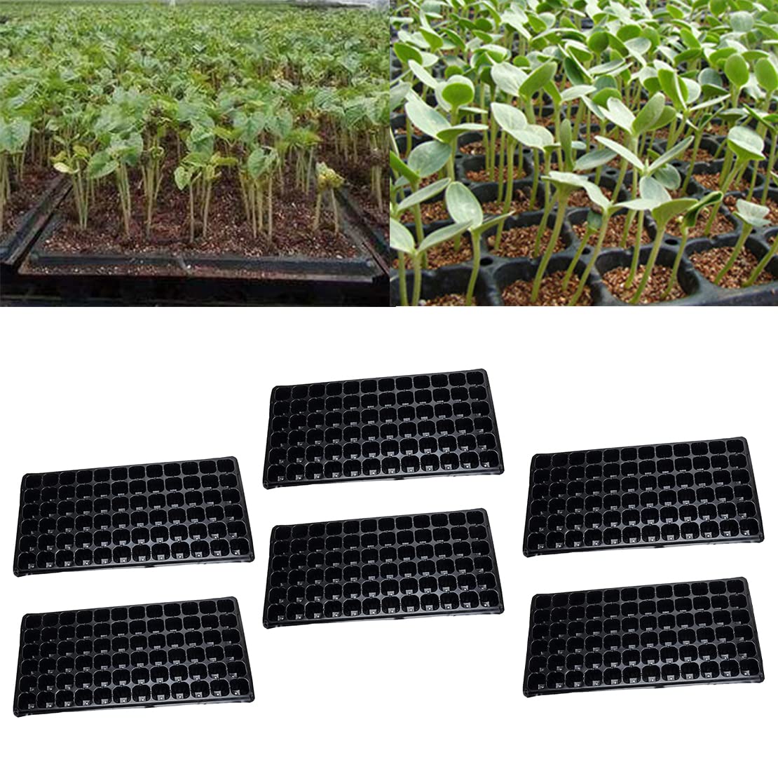 6 pièces 72 cellules Plaque de démarrage pour semis Germination Pépinière Pot de Culture pour Plantes de Jardin Fleurs