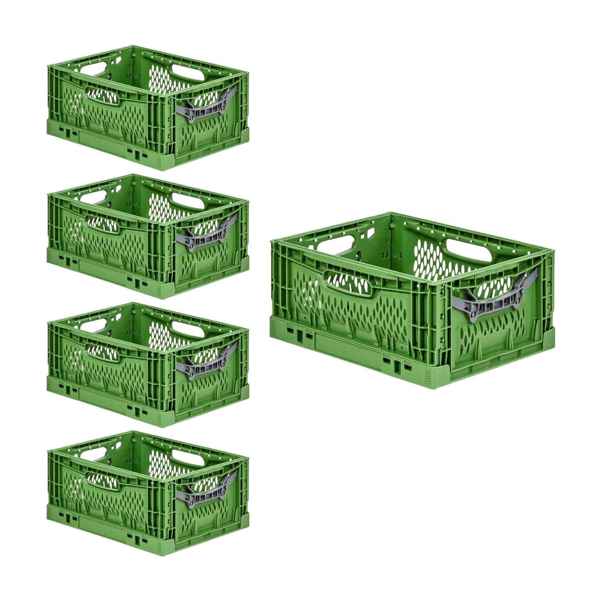 PROREGAL SuperSparSet 5x Stabile Profi-Klappbox Chameleon in Industriequalität | HxBxT 18x30x40cm | 17L | klappbar stapelbar durchbrochen lebensmittelecht | Eurobox Eurobehälter Transportbehälter