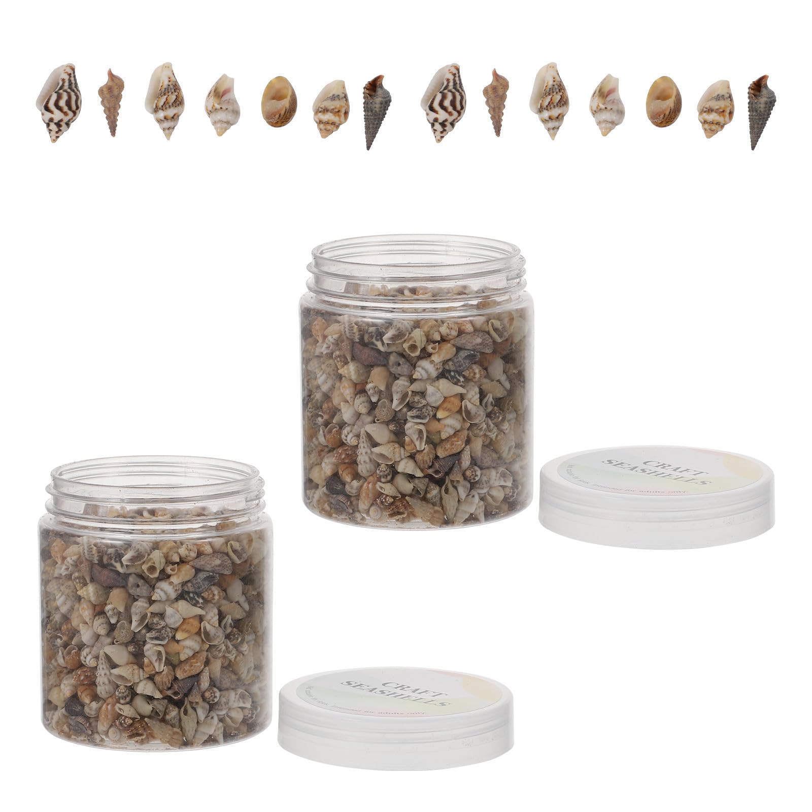 HOMSFOU Conchiglie Naturali Mini per Decorazioni Fai da Te, Riempitivo Artigianale per Vasi e Oggetti, Accessori Epossidici Resistenti alla Corrosione, Set da 2 Scatole per Ambienti