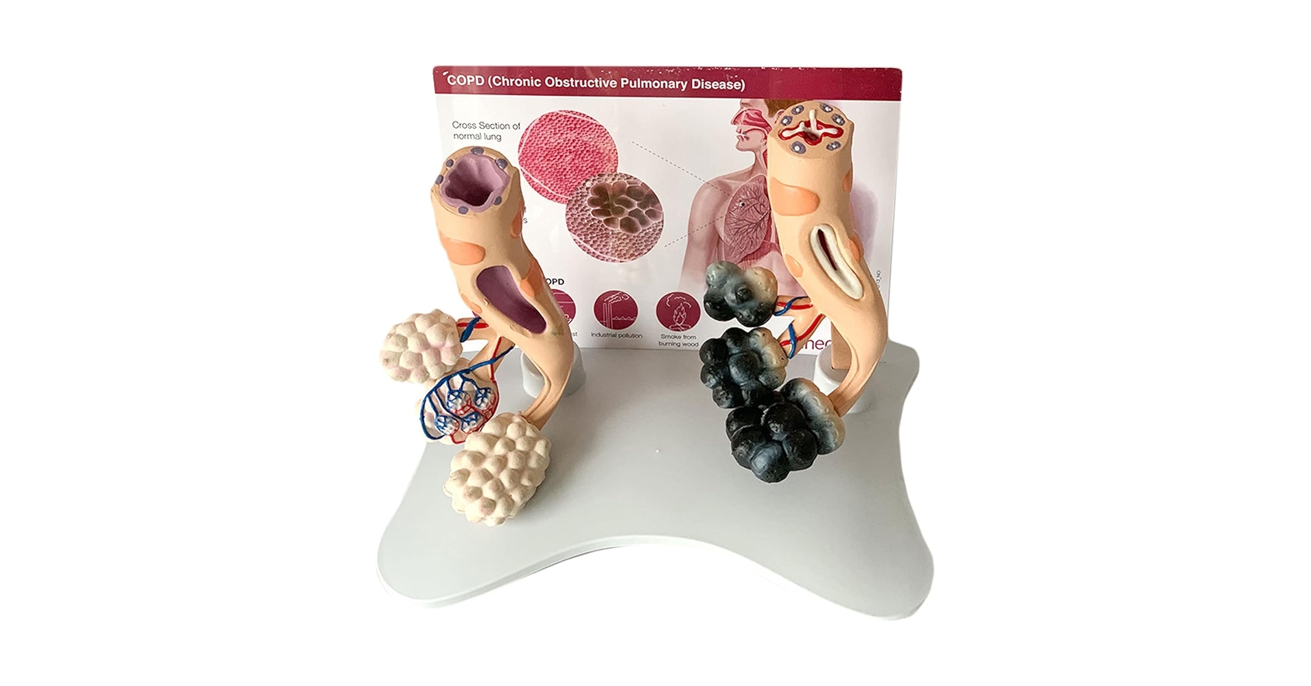 714LCrd4fyL.jpg_BO30,255,255,