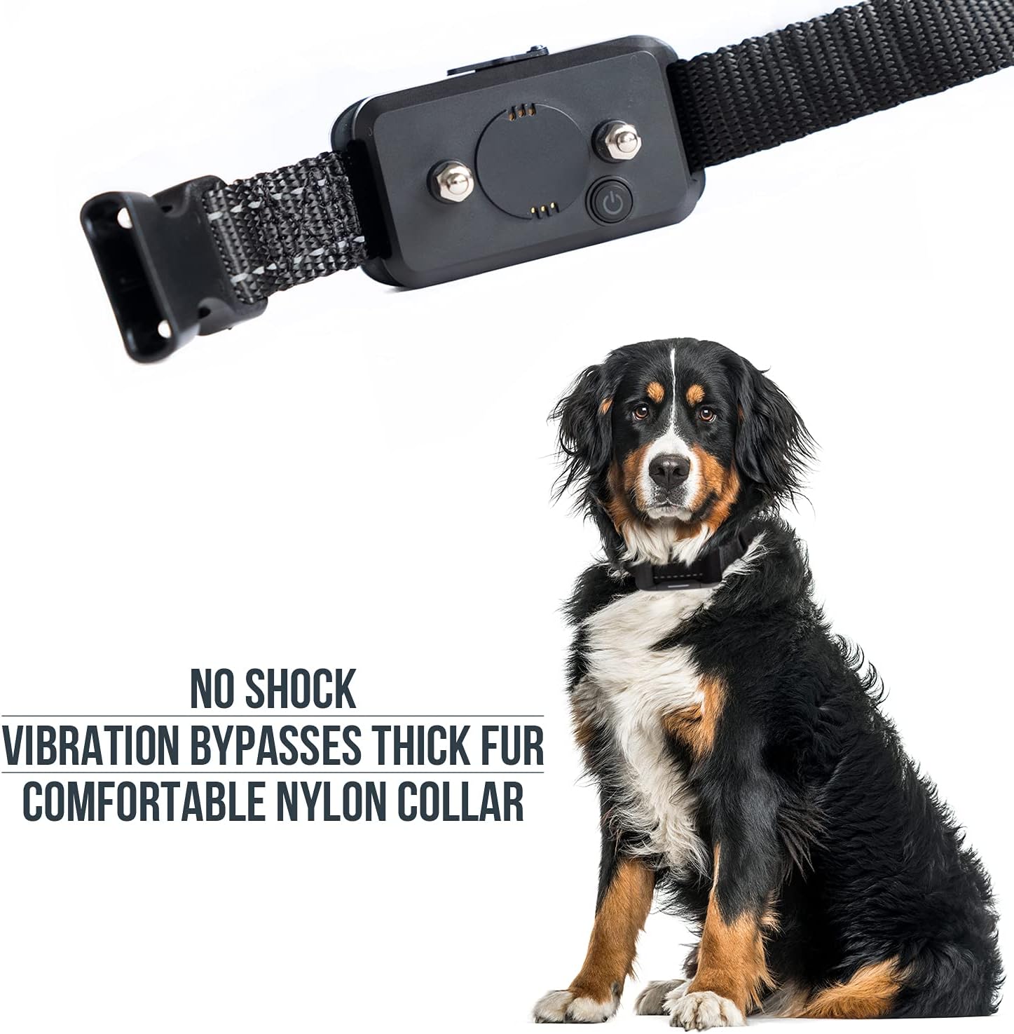 goodboy small size remote collar